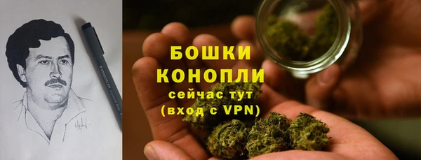 первитин Горняк