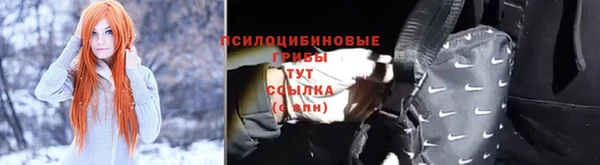 первитин Горняк