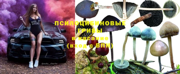 мяу мяу мука Горнозаводск