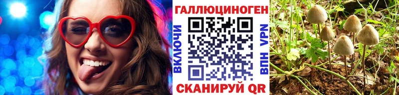 Галлюциногенные грибы GOLDEN TEACHER  Купить  Мончегорск 